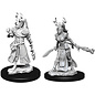 WizKids/NECA D&D Nolzurs: W9 - Female Human Druid