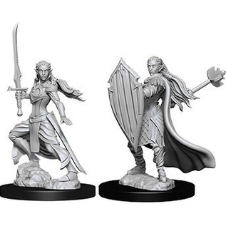 WizKids/NECA D&D Nolzurs: W9 - Female Elf Paladin