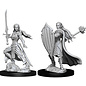 WizKids/NECA D&D Nolzurs: W9 - Female Elf Paladin