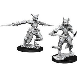 WizKids/NECA D&D Nolzurs: W9 - Female Tabaxi Rogue