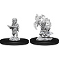 WizKids/NECA Pathfinder Deep Cuts: W9 - Male Gnome Sorcerer