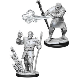 WizKids/NECA D&D Nolzurs: W11 - Male Firbolg Druid