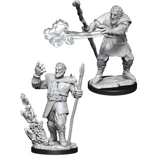 WizKids/NECA D&D Nolzurs: W11 - Male Firbolg Druid