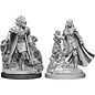 WizKids/NECA D&D Nolzurs: W12 - Female Tiefling Sorcerer