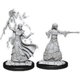 WizKids/NECA D&D Nolzurs: W12 - Female Elf Wizard