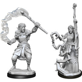 WizKids/NECA D&D Nolzurs: W13 - Female Firbolg Druid