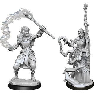 WizKids/NECA D&D Nolzurs: W13 - Female Firbolg Druid
