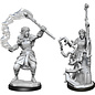 WizKids/NECA D&D Nolzurs: W13 - Female Firbolg Druid