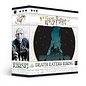USAOPOLY RENTAL Harry Potter: Death Eaters Rising
