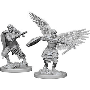 WizKids/NECA D&D Nolzurs: W6 - Male Aasimar Fighter