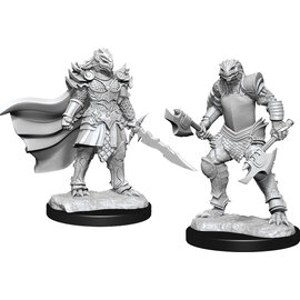 WizKids/NECA D&D Nolzurs: W15 - Dragonborn Fighter Female