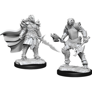 WizKids/NECA D&D Nolzurs: W15 - Dragonborn Fighter Female