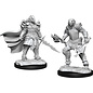 WizKids/NECA D&D Nolzurs: W15 - Dragonborn Fighter Female