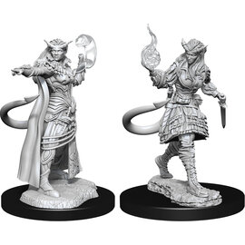 WizKids/NECA D&D Nolzurs: W15 - Tiefling Sorcerer Female