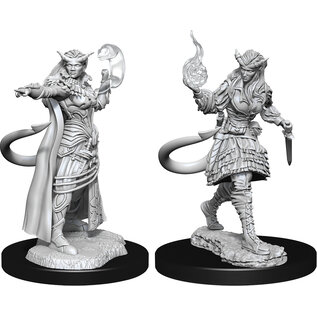 WizKids/NECA D&D Nolzurs: W15 - Tiefling Sorcerer Female