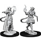 WizKids/NECA D&D Nolzurs: W15 - Tiefling Sorcerer Female