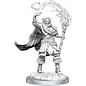 WizKids/NECA D&D Nolzurs: W16 - Elf Cleric Male