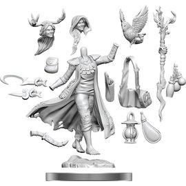 WizKids/NECA D&D Frameworks: W01 Human Druid Female