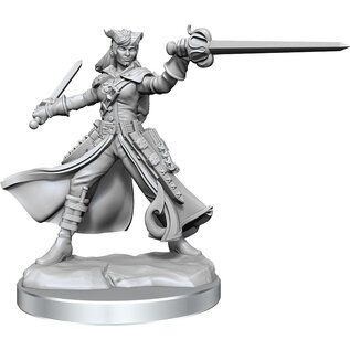 WizKids/NECA D&D Frameworks: W01 Tiefling Rogue Female