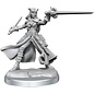 WizKids/NECA D&D Frameworks: W01 Tiefling Rogue Female