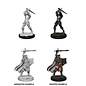 WizKids/NECA D&D Nolzurs: W12 - Male Human Paladin