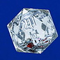 Sirius Dice - D20 Snowglobe Silver/Silver Red/Green Snowflakes