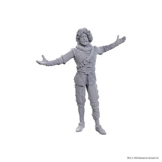 WizKids/NECA D&D Nolzurs: Volo Withers
