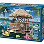Outset Media 500pc Puzzle - Splash Zone