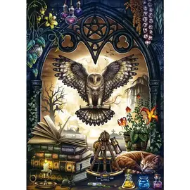Outset Media 1000pc Puzzle - The Summons