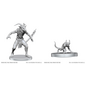 WizKids/NECA D&D Nolzurs: W28 -Bulezau & Quasit