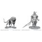 WizKids/NECA D&D Nolzurs: W28 - Hell Hound & Narzugon