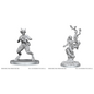 WizKids/NECA D&D Nolzurs: W28 - Satyr & Dryad