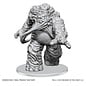 WizKids/NECA D&D Nolzurs: W28 - Eater of Knowledge