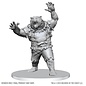 WizKids/NECA D&D Nolzurs: W28 - Werebear