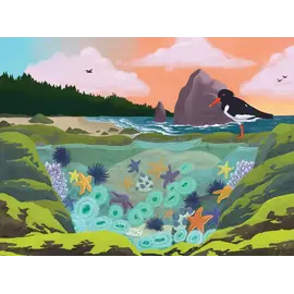 Bridgetown Puzzles Tidepool 1000pc Puzzle