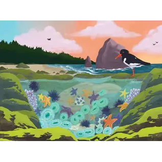 Bridgetown Puzzles Tidepool 1000pc Puzzle