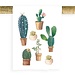 Cactus Planters TT