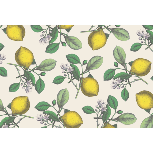 Lemon Pattern Tear-Away Placemats