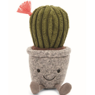 Silly Succulent Cactus