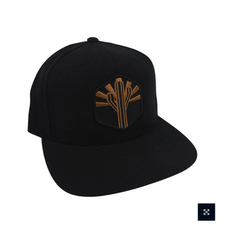 iconic arizona The Copper Sentinel Classic Snapback