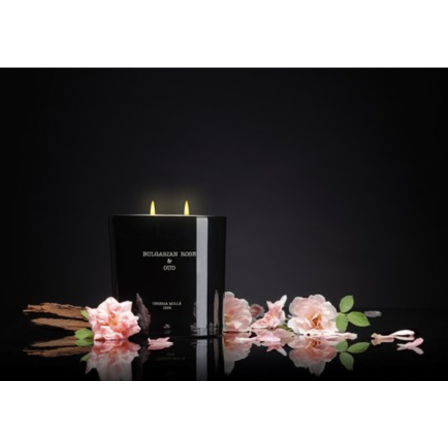 Cereria Molla 21 oz. 3 wick XL Premium Candle