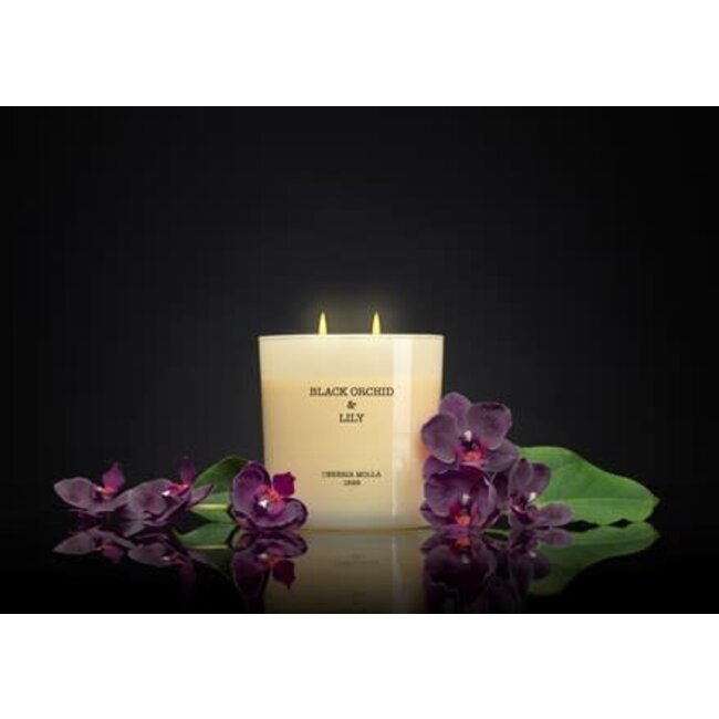 21 oz. 3 wick XL Premium Candle