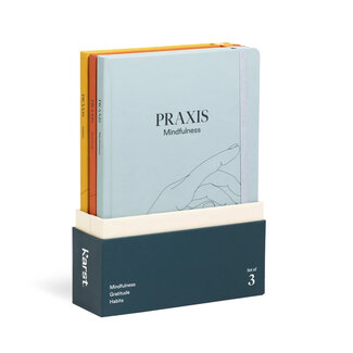 Praxis Set - 3 Journals