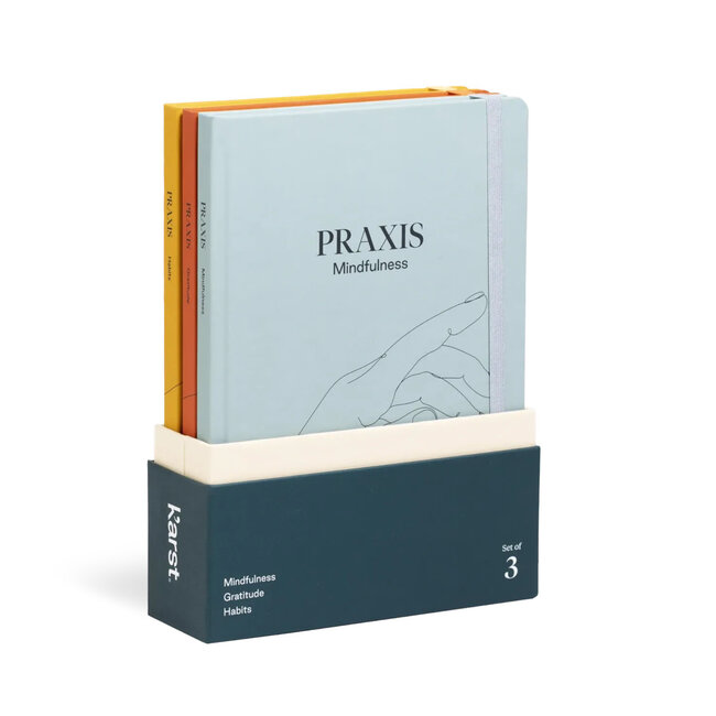 karst Praxis Set - 3 Journals