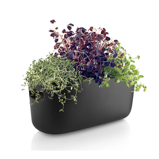 Self-Watering Herb Organizer - Black Ceramic