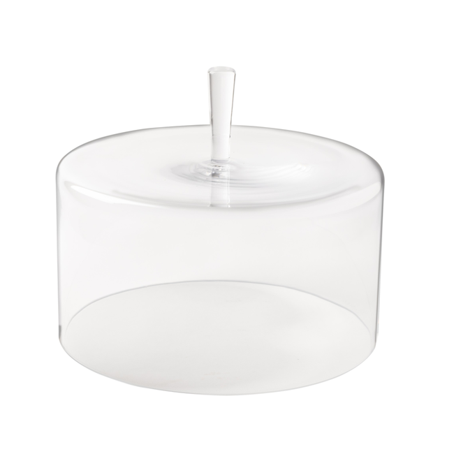 GLASS DOME 12"