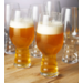 Craft IPA Beer Glass