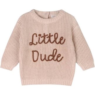 Little Dude Embroidered Sweater 3-6M