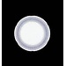 Constellation D'or Dinner Plate