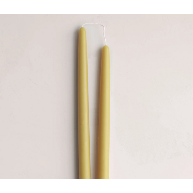Beeswax Pair of 12" Taper Candles Olive
